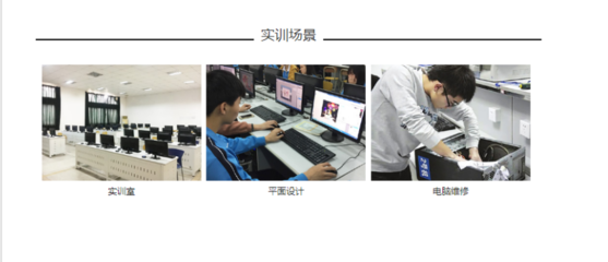 計(jì)算機(jī)應(yīng)用與維修與網(wǎng)絡(luò)設(shè)備銷售 現(xiàn)代信息技術(shù)服務(wù)的雙重支柱